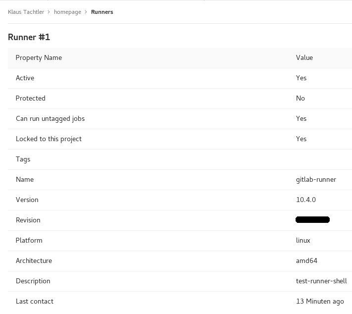 gitlab-runner_project-area_settings_ci-cd_runners-settings_activated_details.png