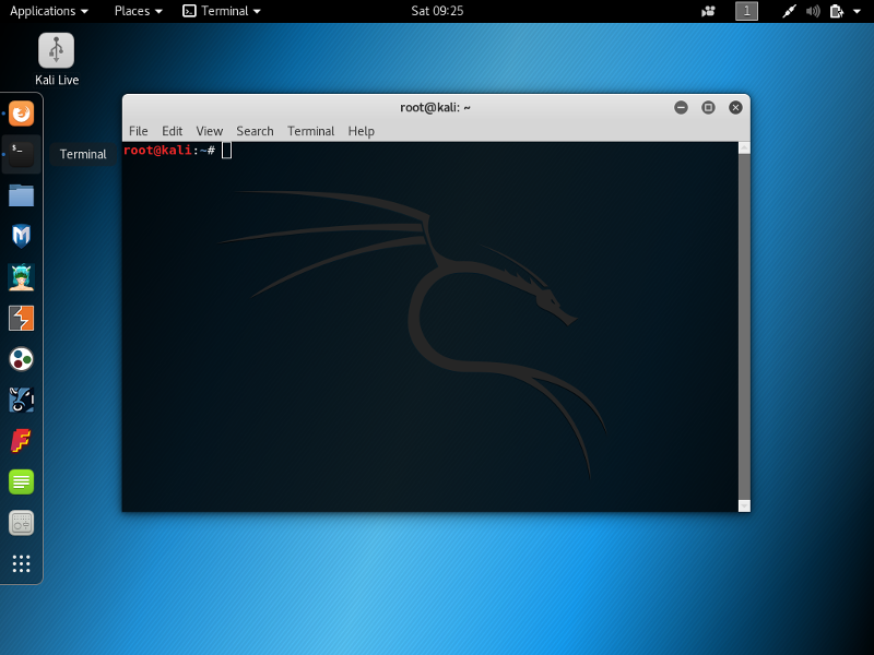 Kali Linux - Desktop - Terminal (shell)